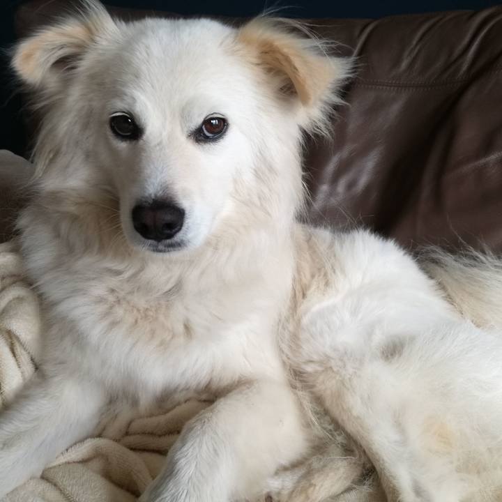 D5f28111 466f 4424 a05a 6f0bac99913d