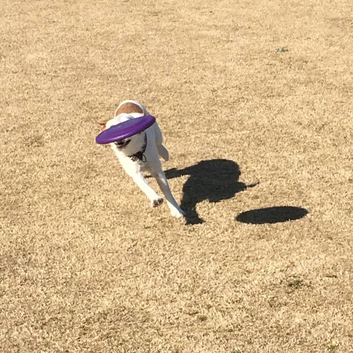 D5f2957f ae33 43a8 8076 ac05f9cf2028