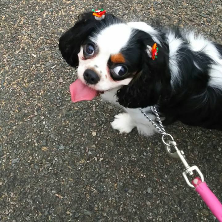 D5f2d4f6 858d 40db b7f8 0962946941b0