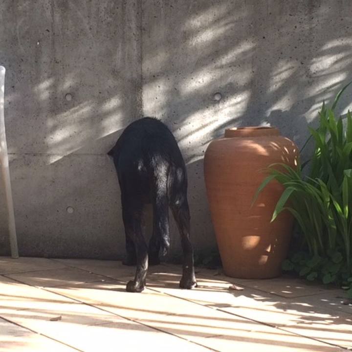 D5f4108e f1f9 46b1 8c4f dc41ed46f420