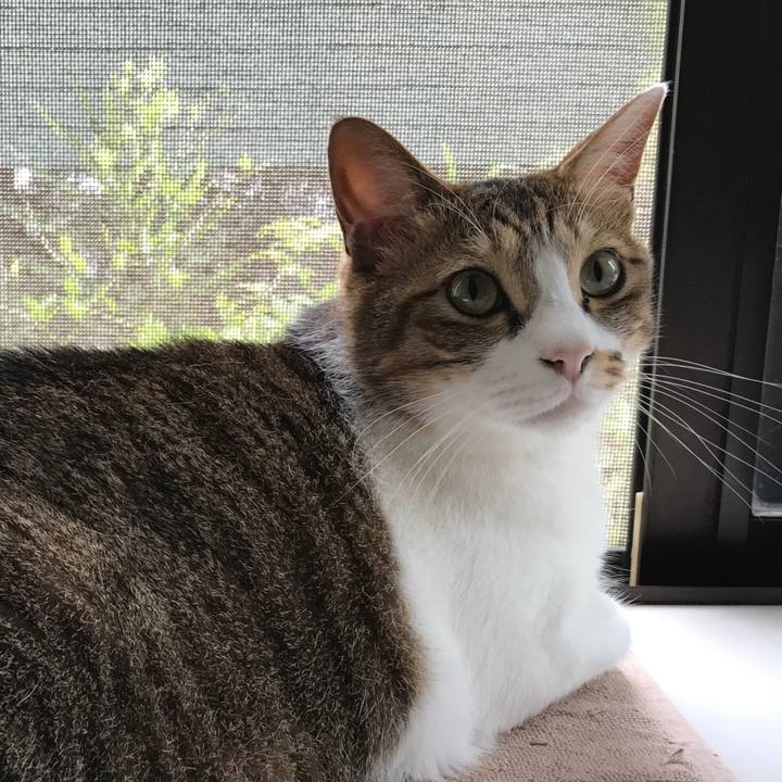 D5f432a5 6baf 42b0 bd45 844699b47cb1