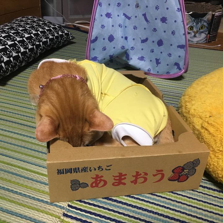 D5f58f01 a1af 4965 a924 59cf1cfd45b2