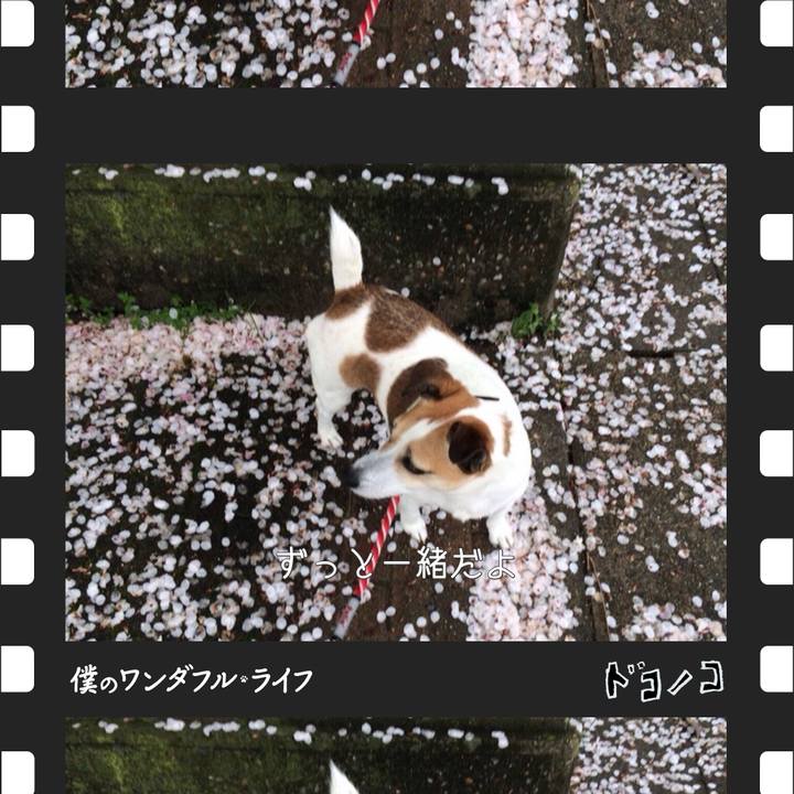 D5f5ca81 afb6 4527 b155 6dbfd22ea517