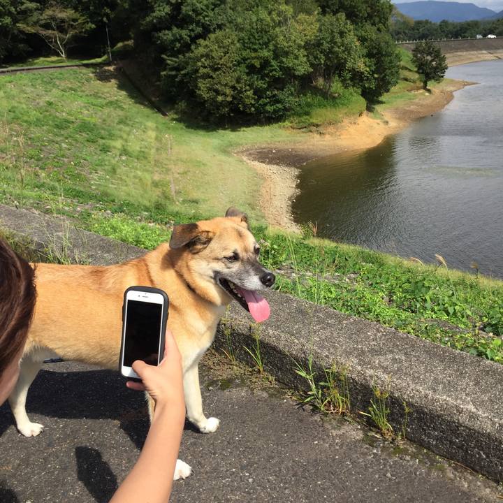 D5f5cc1b c12a 40fb a484 be1aeebfc155