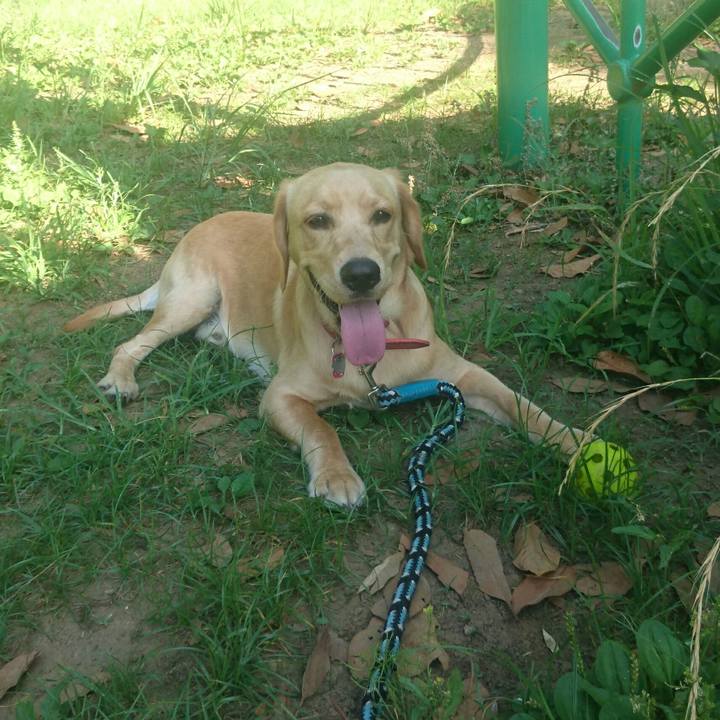 D5f7e69d 470a 4c83 a5b8 01637db6e134