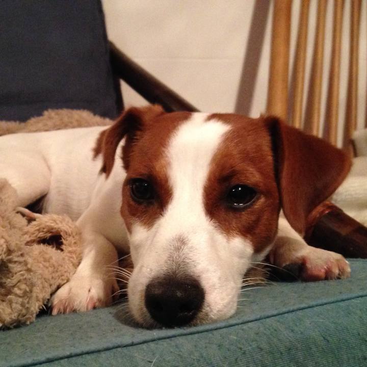 D5f80489 cc0c 4bbd 8ac4 4f2a18561f84