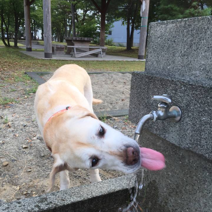 D5f8131b 1346 4606 a94b e66332e3cfcc