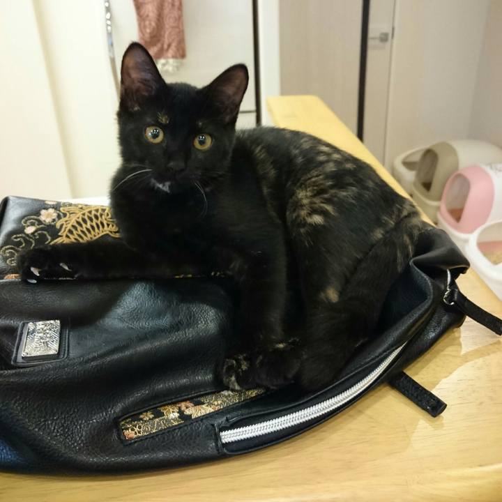 D5f84059 e43e 4307 b63e 5e9e15992ab6