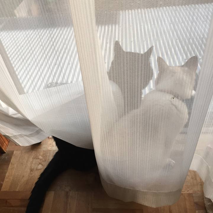 D5f8cf7a 6a39 46b5 8691 c051cf45d634