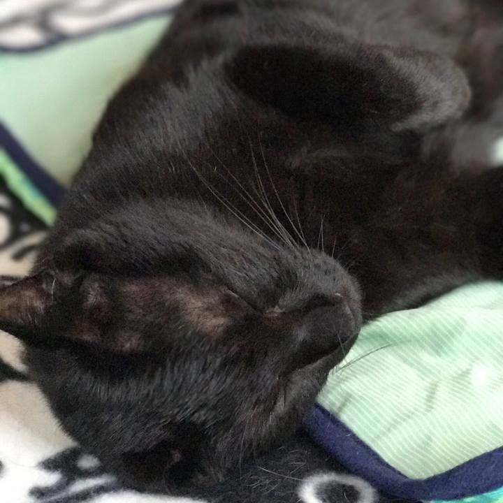 D5f94e38 dadc 4126 a187 1737cb774fa7