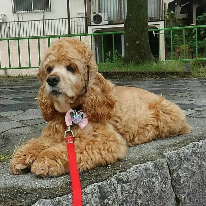 D5f993ad f1a3 41d9 a15f 8e939d7529aa