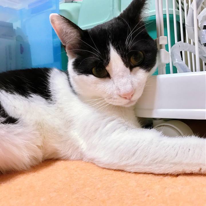 D5f9b989 cc97 46fb b8a0 3cf50c5f8a98