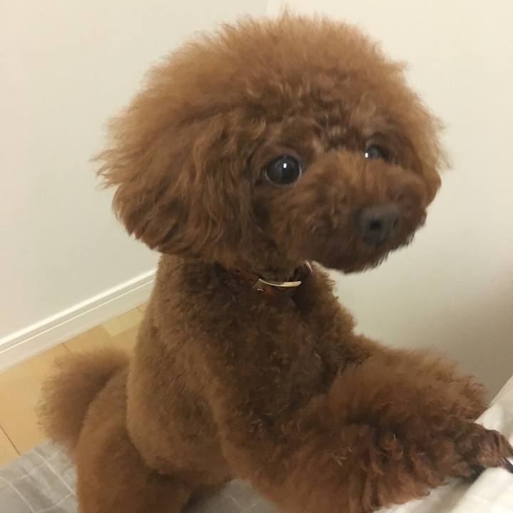 D5f9eb0e c26a 473a bf1e b49c8c62cc81