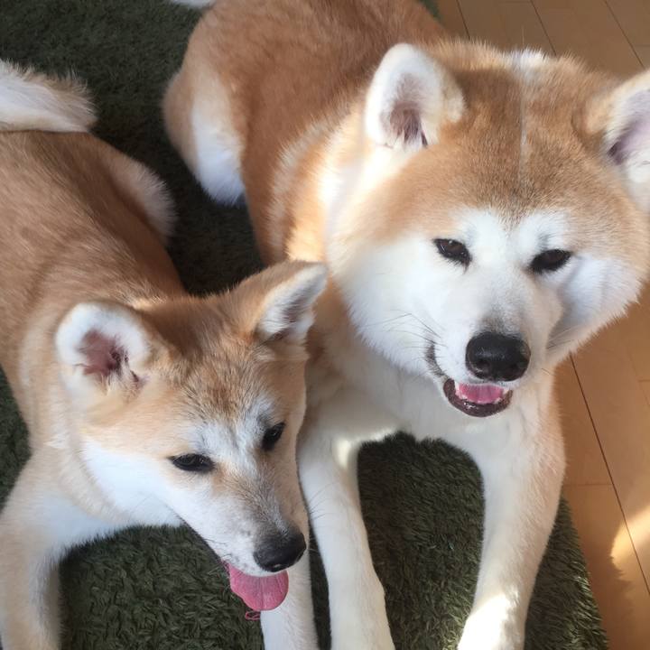 D5fa07a4 5dd4 4daa 8a13 86d3242a7c7e