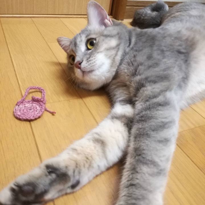 D5fabe42 a461 4c31 8a35 0b540cf922a6