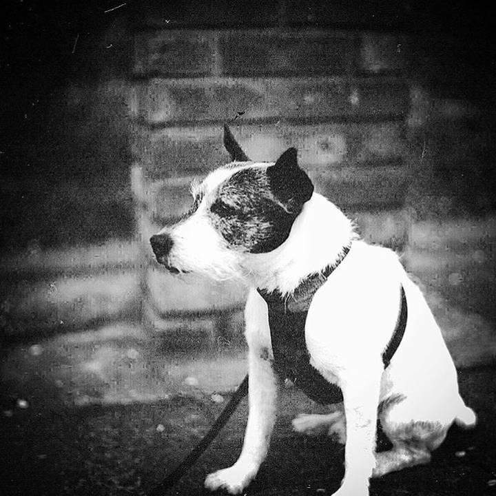 D5fb4bb8 03d7 429b afe6 309ce7efdb20