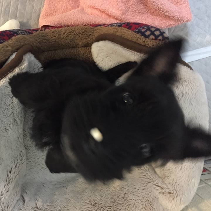 D5fc26fb abfe 4b8b b40f af951a864498