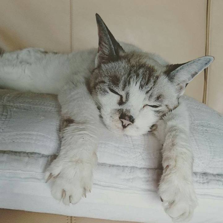 D5fc2f4e fd1a 4867 be6a 6b1ea757ff1d