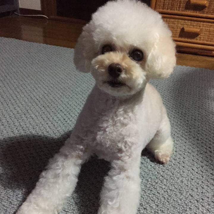 D5fc32b8 4ad9 4579 9930 a88736f8fdcc