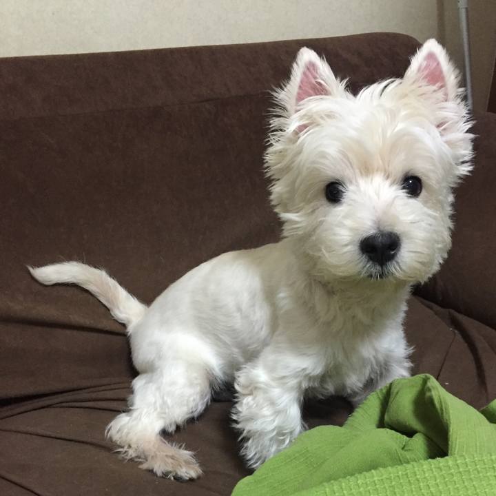 D5fc5953 7d23 4456 80cb 9b784d181152