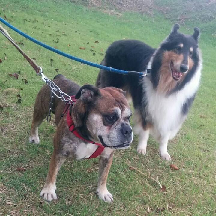 D5fc6c34 a469 44f8 a2f8 25a8526bd32f