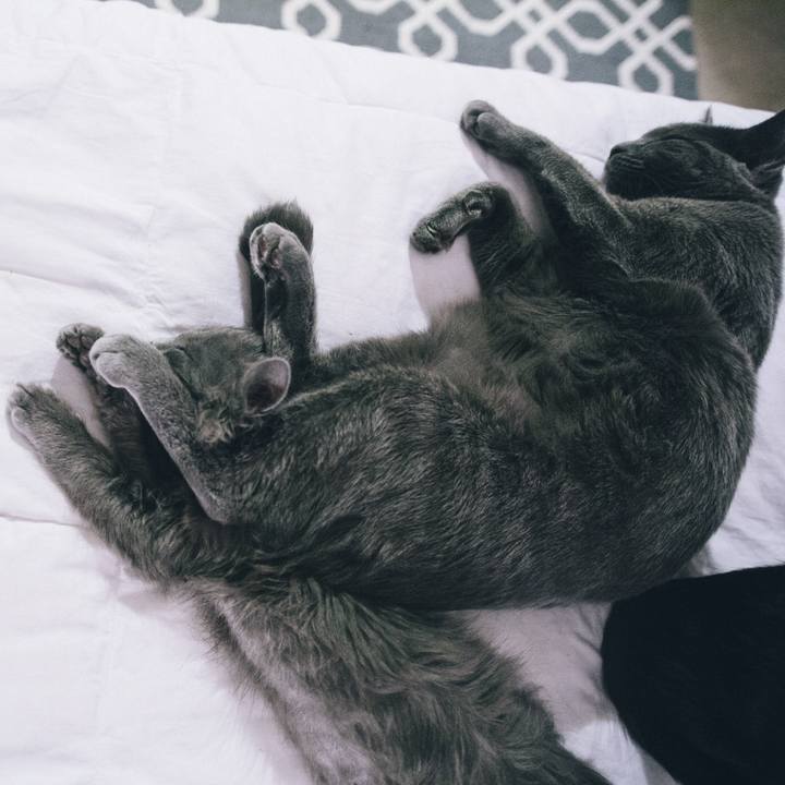 D5fcf4e4 cd7b 4086 aafe e4adb39274e5