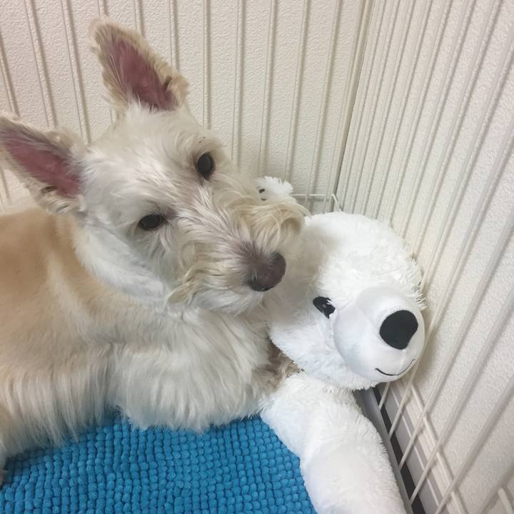 D5fe33e4 f3ba 4dda 8cb1 42b21a783158