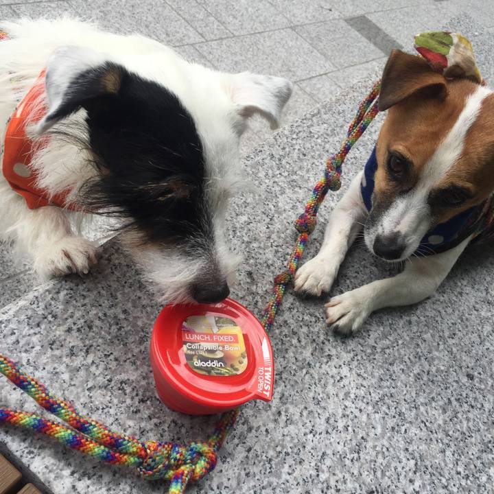 D5fea490 eee5 437e b685 cb5d4a8fb89e