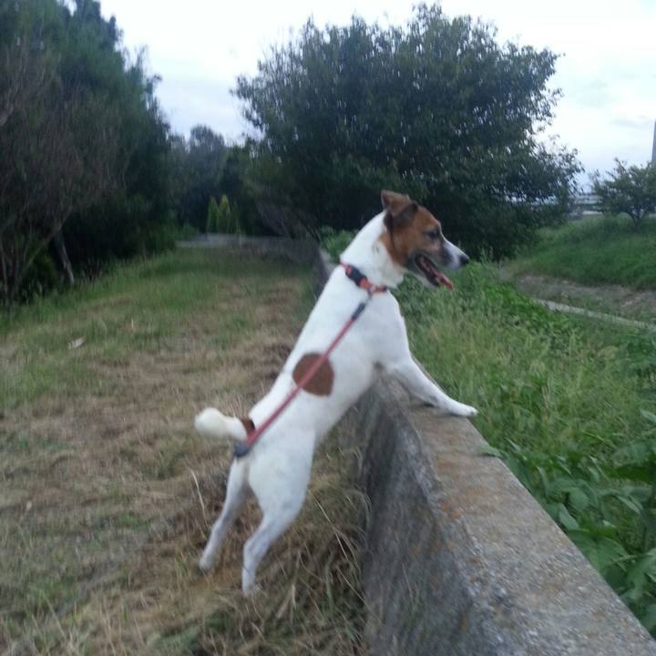 D5ff9a54 7f01 4167 a5d7 e4fc35ff8c9c