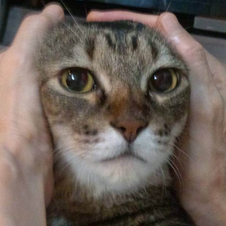 D6002d55 fc54 41f5 b725 bf86ac18b0ff