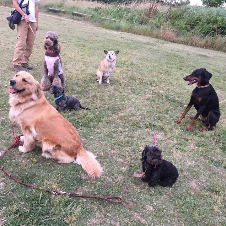 D6012014 6bdb 49f3 8329 19c222230be2