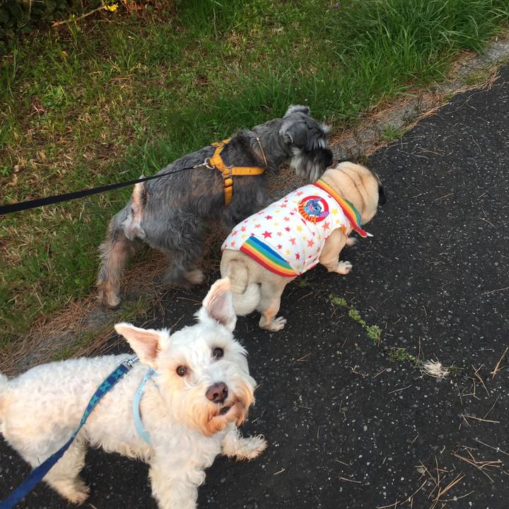 D6012dca 0fab 454d 9e3b f69ef317d375