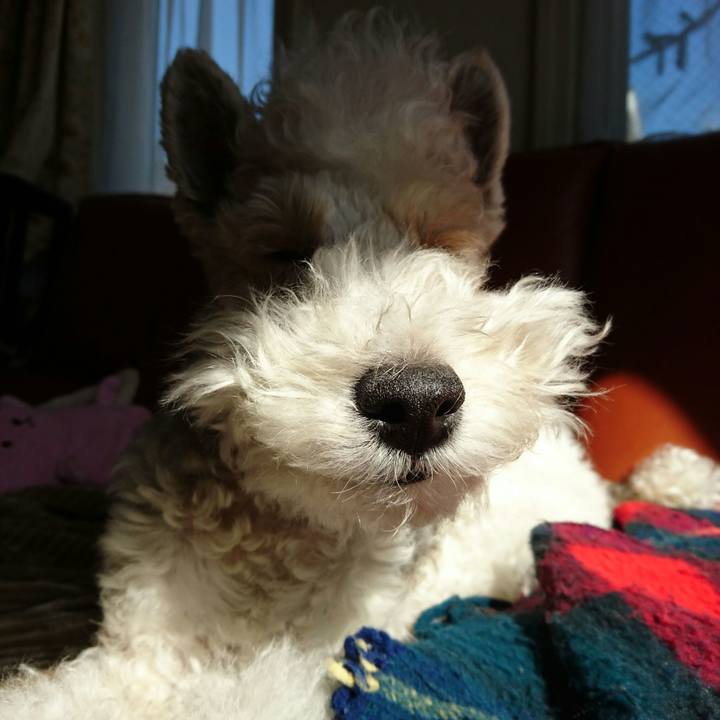 D6012e60 efba 4b06 8b7d d73a9005b5e5