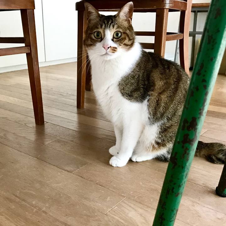 D6018212 8e4e 4f77 9253 cb19b9a5d092