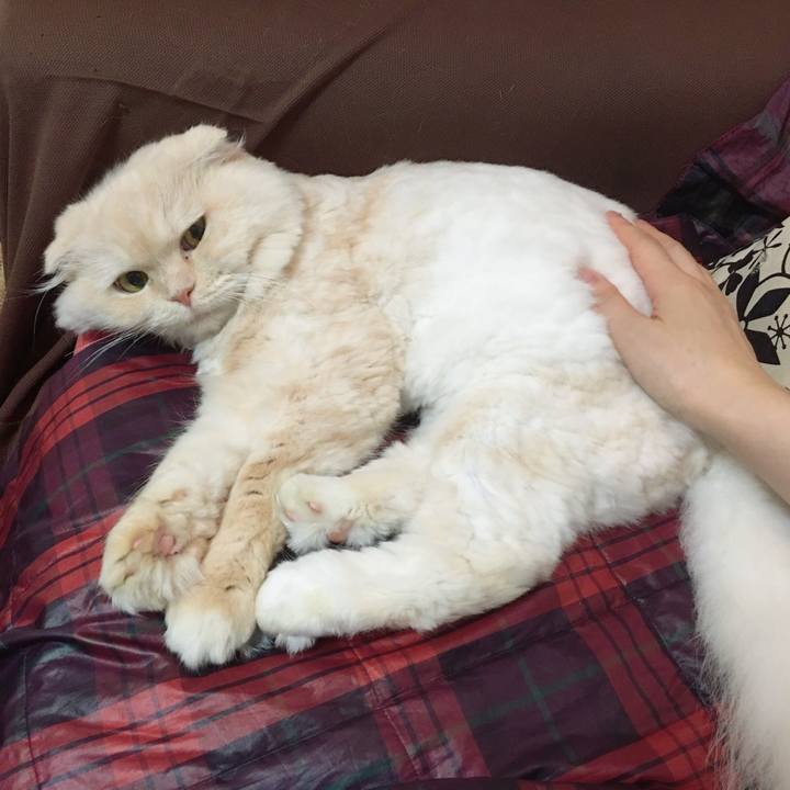 D6018baf f7ba 456b a4aa 1baeb7f416ac