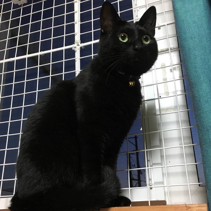 D601e0bf 17e9 4eba 942a 1a16fef33cee