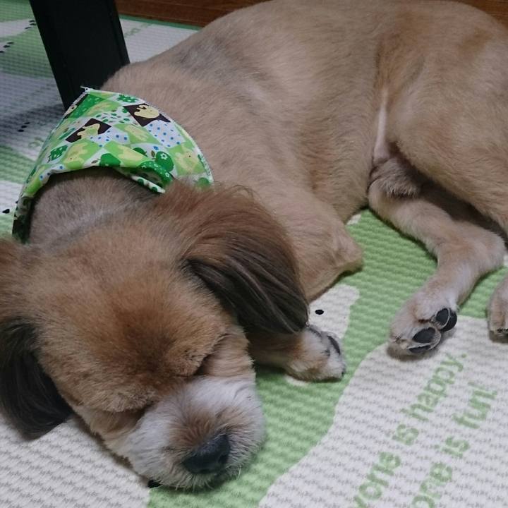 D601e480 91b1 4089 93ad 7793932d439b