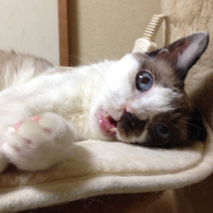 D6026726 2369 4a76 8e0c 4bbff31a9568