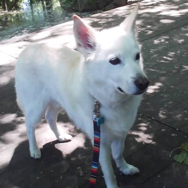 D60284f7 64dd 4fd3 9c70 8e4cd1d97b2e