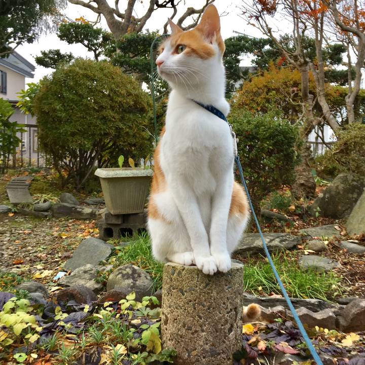 D602a3ae af1c 4e56 9daf 20839e737ff3