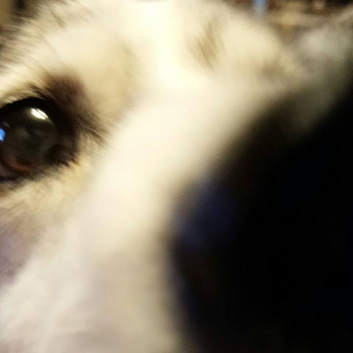 D602d459 1d2a 43a1 995d c6dc5e20813b