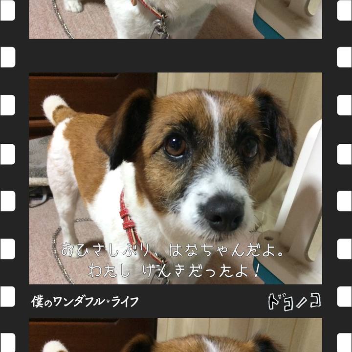 D6038a89 748a 416c 8f00 ad10c03fedb3