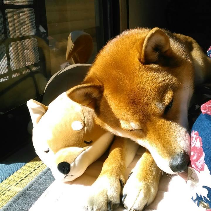 D603b0cb 406e 4448 84fb 7deb7f121181