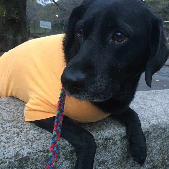 D603db94 fbcc 4de1 a011 c34370ebd1ce