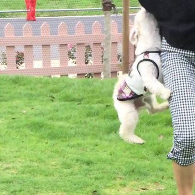 D6045c97 8bba 4e6a 8956 d46537569997