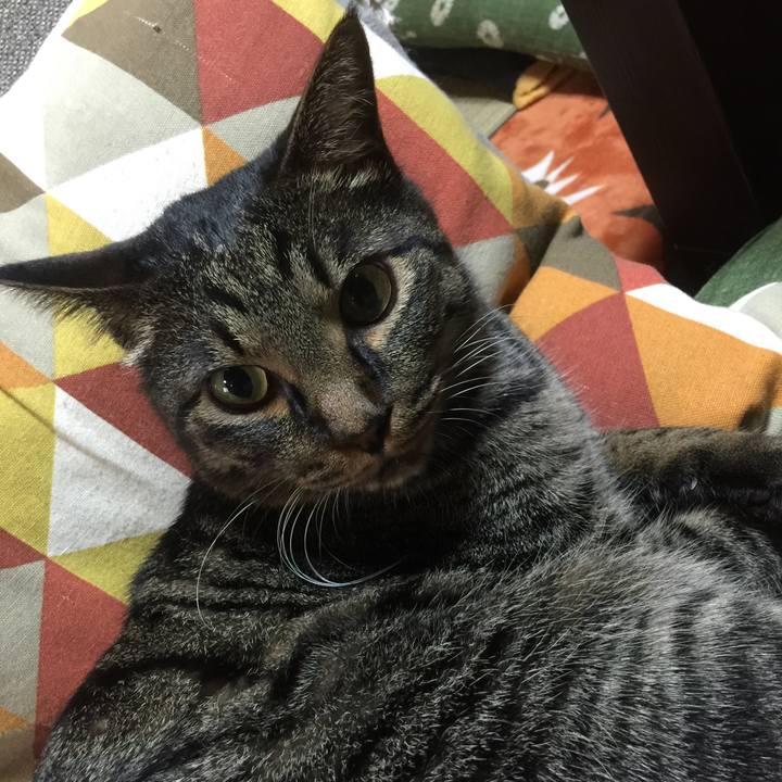 D6047f4f 60b2 424c b0bb cb1664aa1948