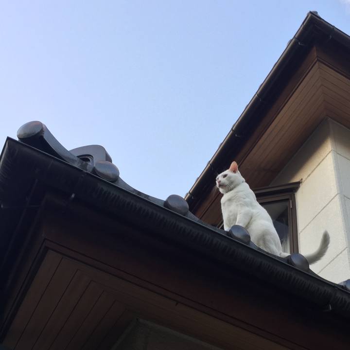 D6057ab6 26cf 4fbb b6dd 95465699575a