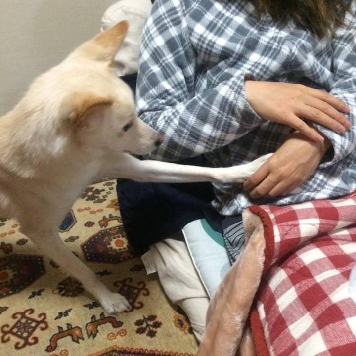 D605a25b f7ea 48db a9e4 f8e122bfb838