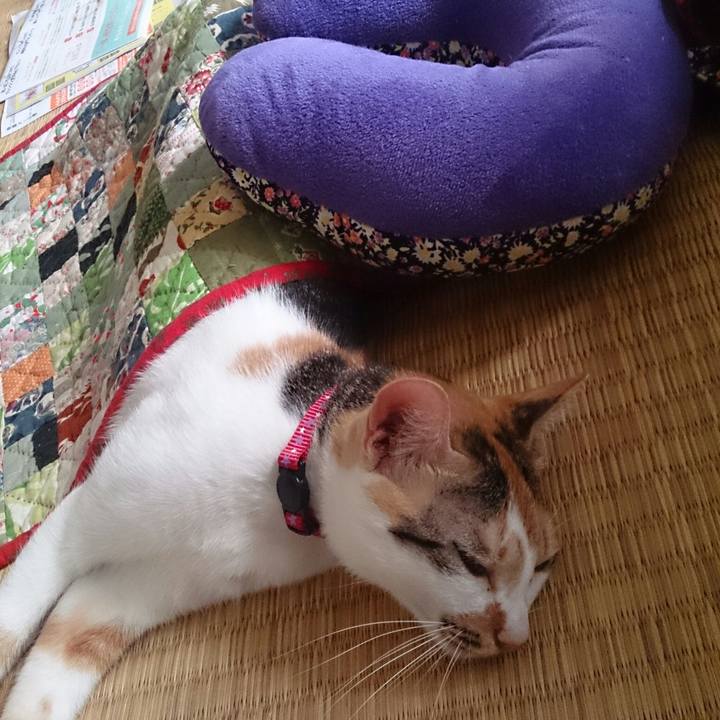 D6066c21 f9b0 4cee 9cc2 a09a08985b45