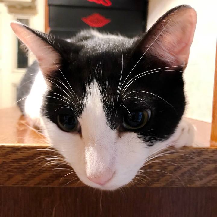 D606f32d ae42 4f58 b90d 6f4c65f82fa9